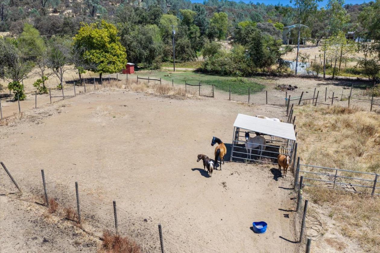 Professional Rodeo setup and Gorgeous House - photo 9