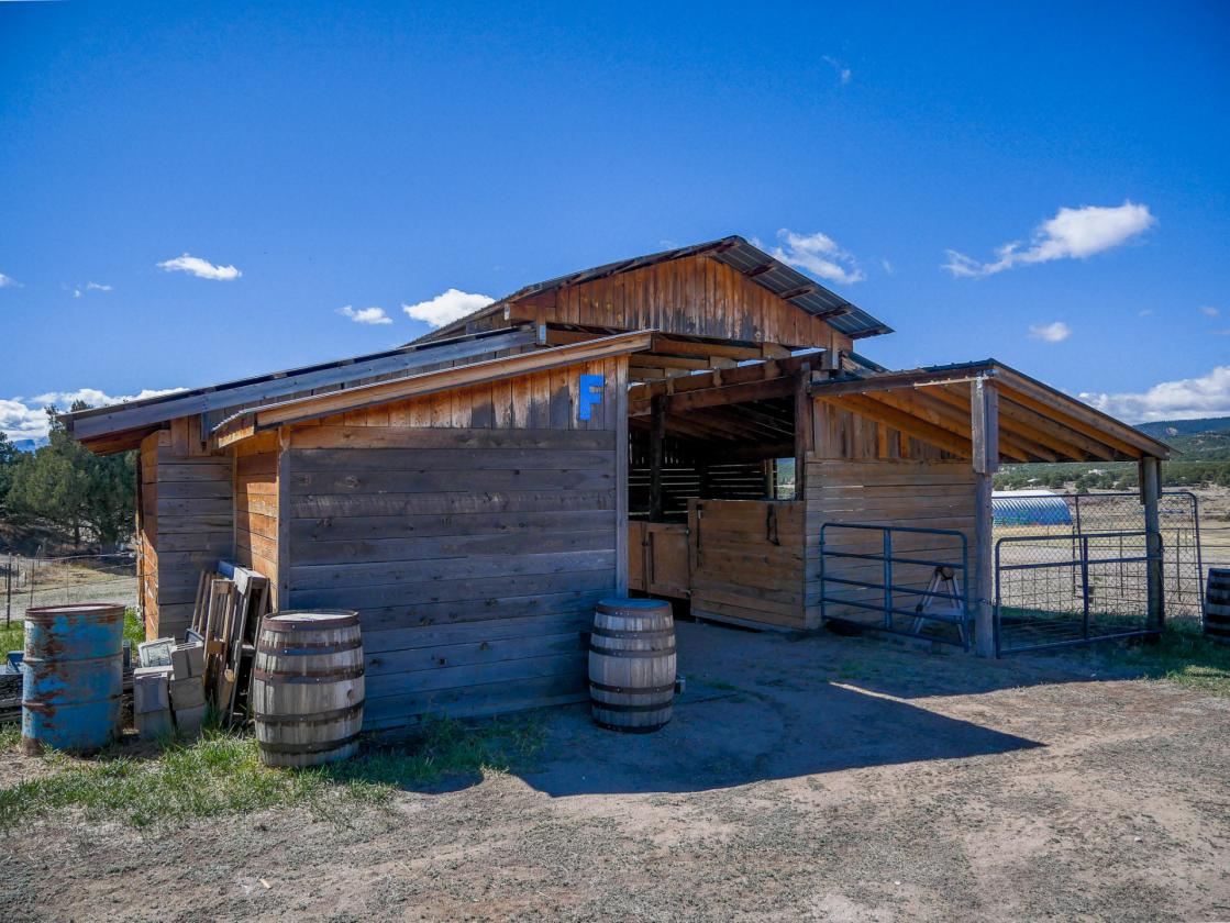 Horse property with multiple income streams - photo 14