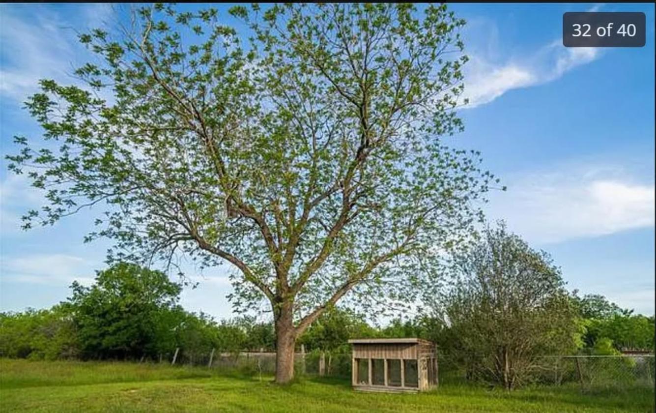 10.25-Acre New Braunfels Horse Property with Guest - photo 28