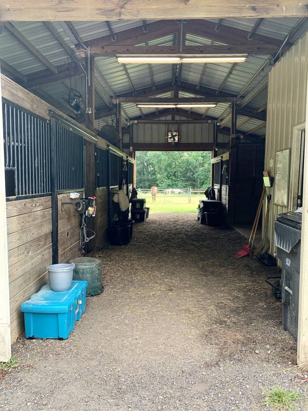 Horse Farm 30 miles SW of Atlanta Brooks, Spalding County,