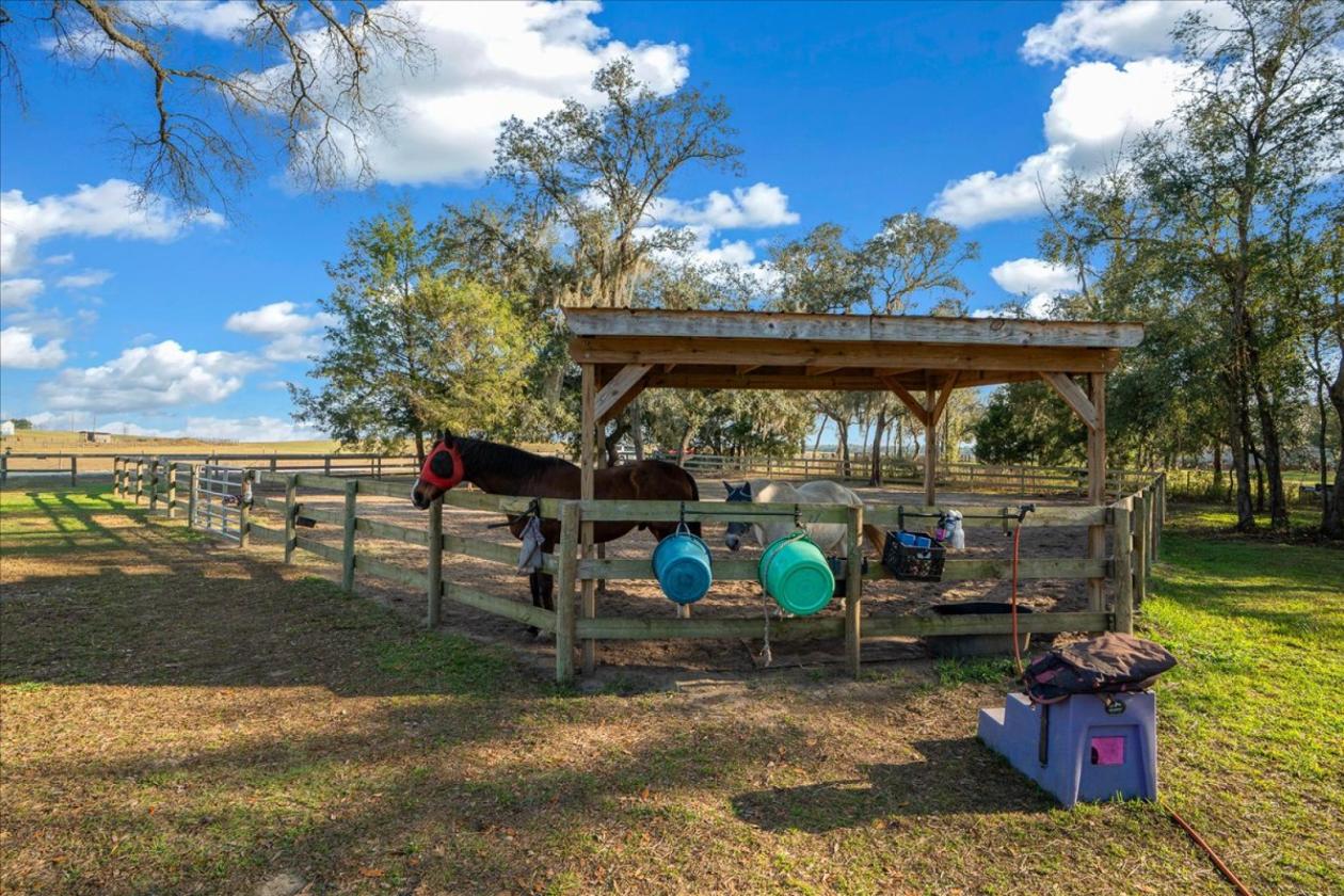2.5 Acres of Mini Farm Living + Income Potential! - photo 18