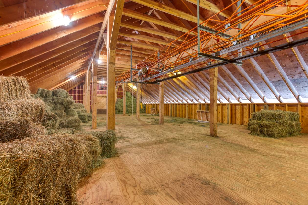 Luxury Equestrian Property with Indoor and two outdoor areas and