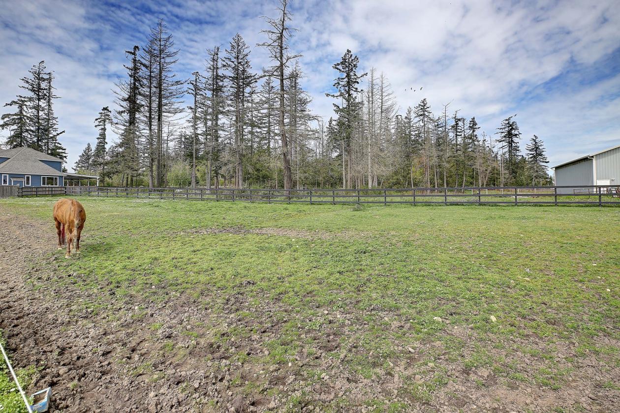 Camano Island Equestrian Property - photo 7
