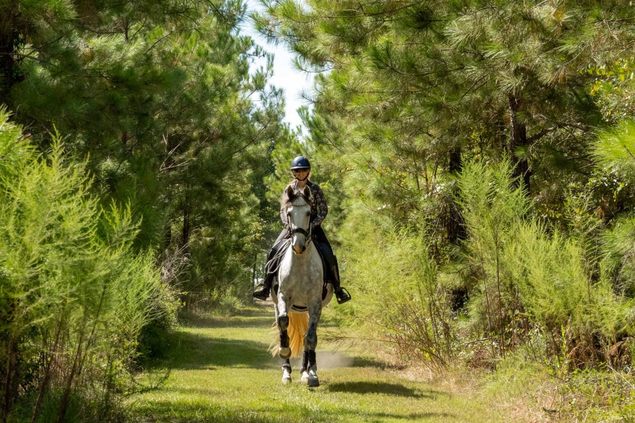 40 Acre Turn Key Dressage Facility with Log Home - photo 10