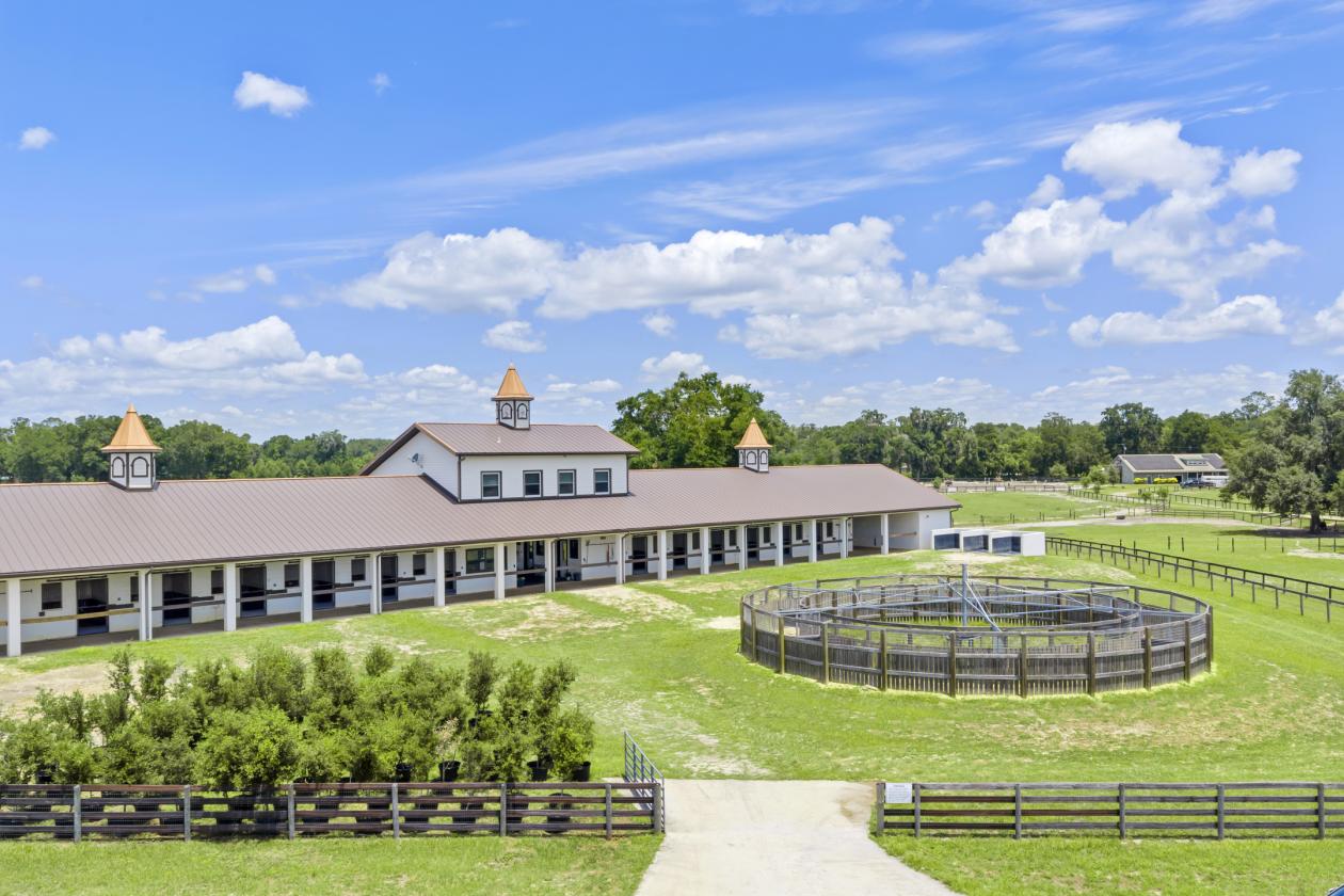 BELLEMONT FARM
YOUR PREMIER TRAINING CENTER - photo 1