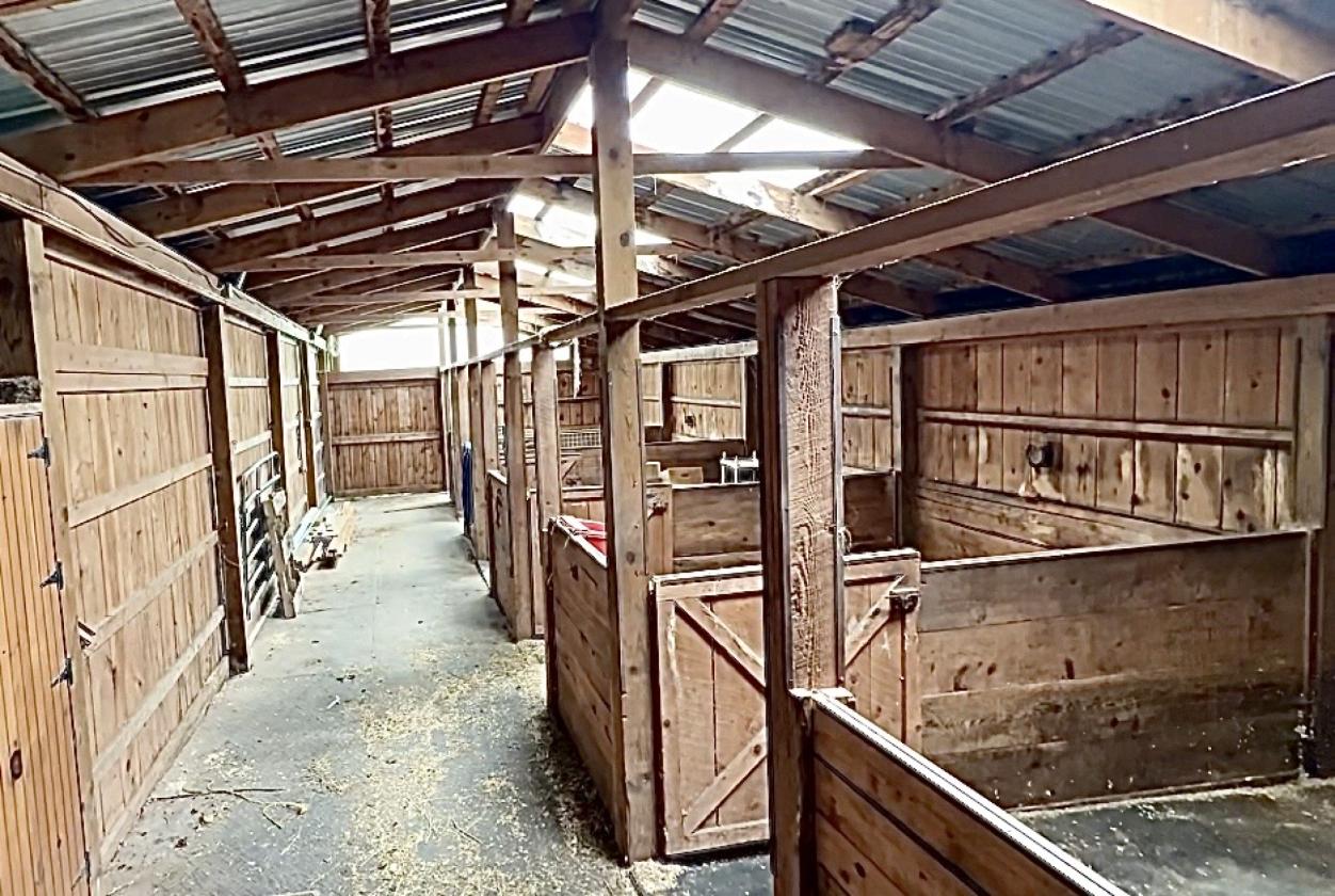 Catskill Equestrian Estate on 254 Acres - photo 24