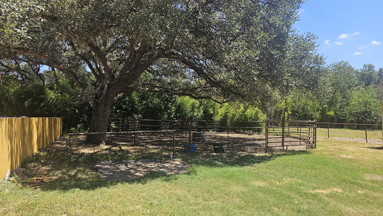 98± Acre Farm & Ranch North of San Antonio - photo 16