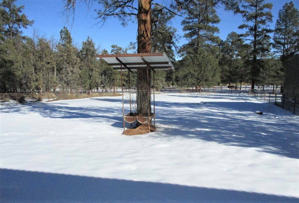 Fabulous horse property in NM's best kept secret Timberlake Ranch