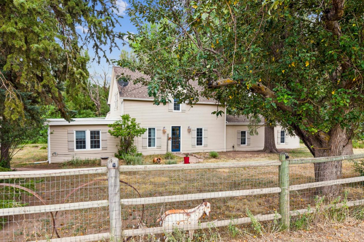 Remarkable horse property with beautiful pasture - photo 1