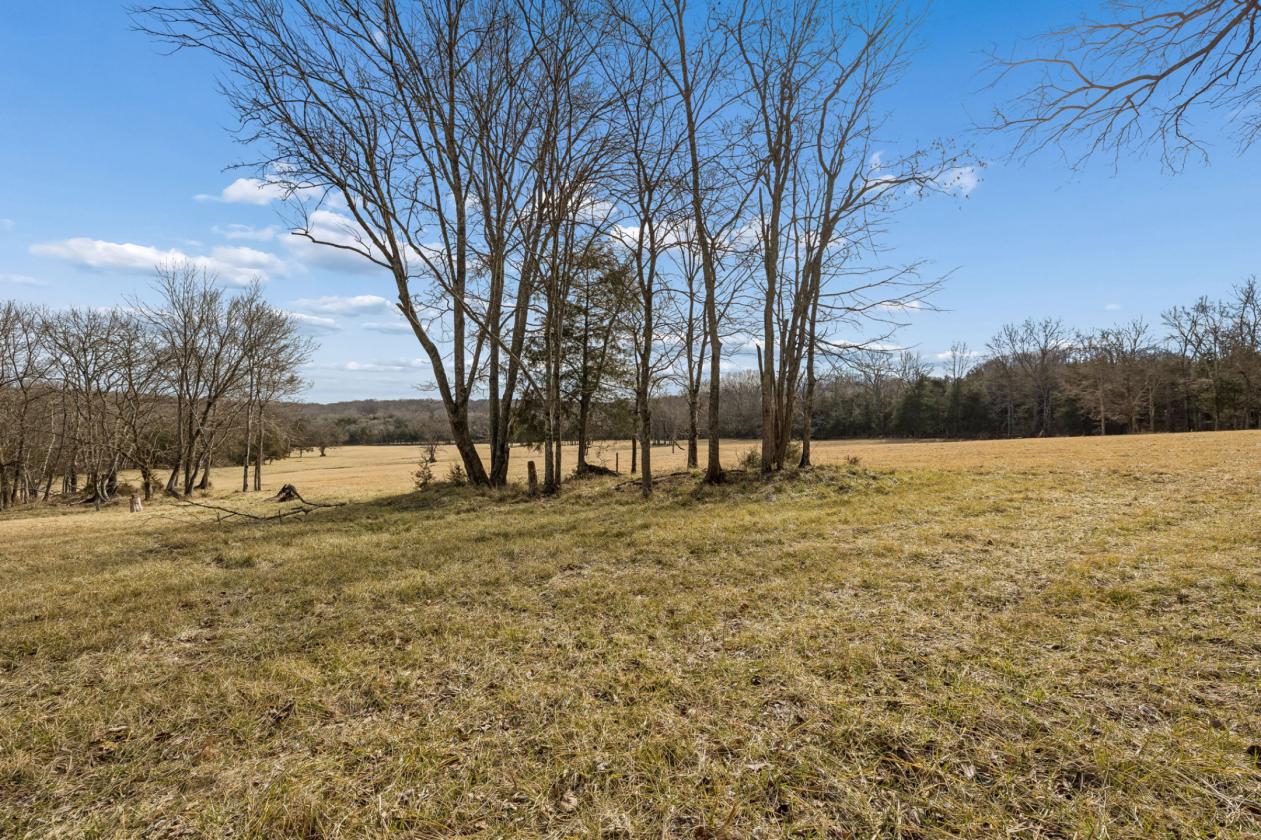 175 Gorgeous Acres - photo 28