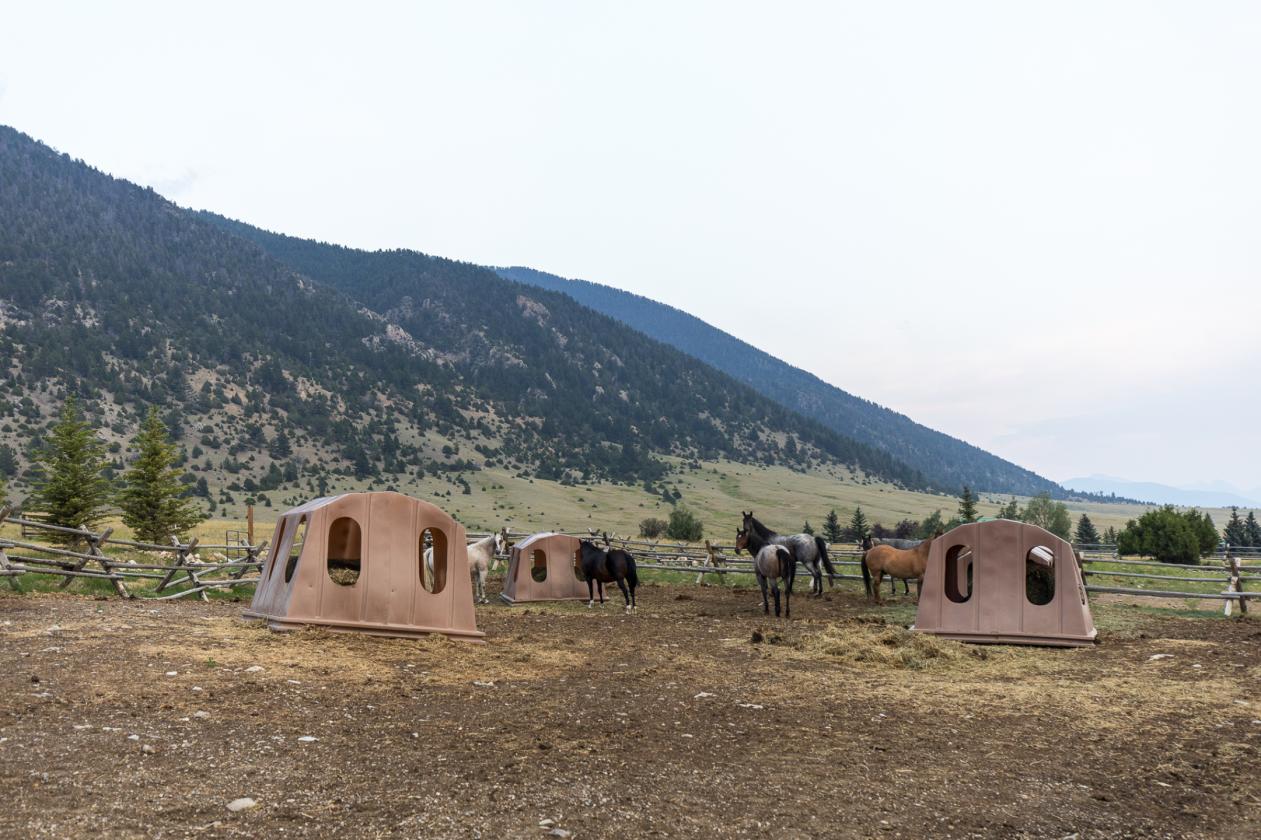 Yellowstone Corridor Luxury Horse Property - photo 6