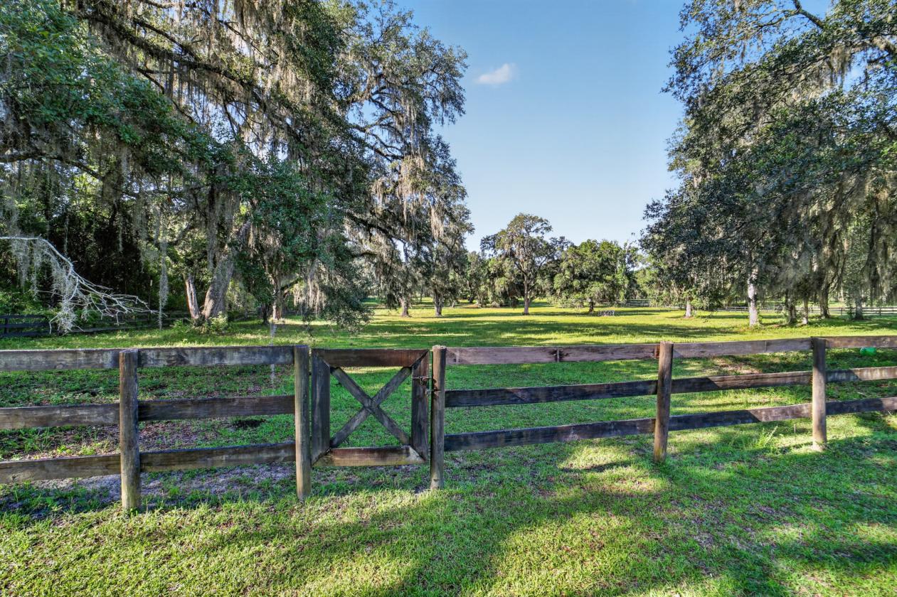 Luxury Living. Equestrian Excellence. - photo 15