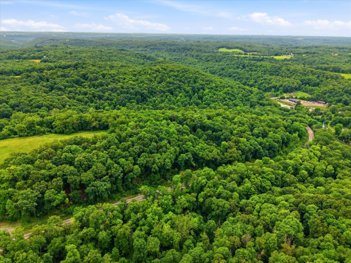 Rare Dual-Parcel Land Totaling 96 Acres - photo 12