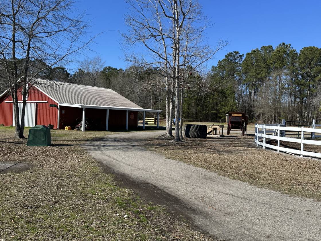 Horse Property for sale.