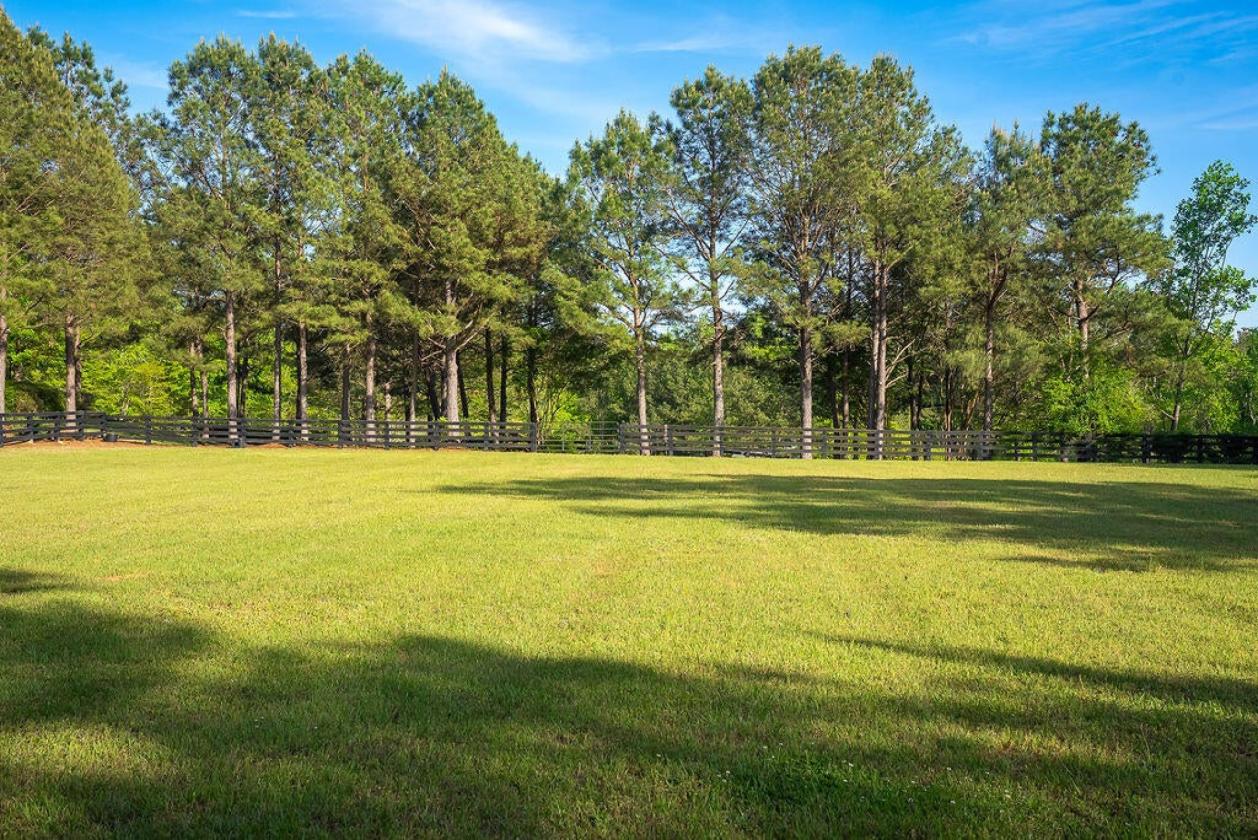 Exceptional Equestrian Living in Mt Vintage - photo 16