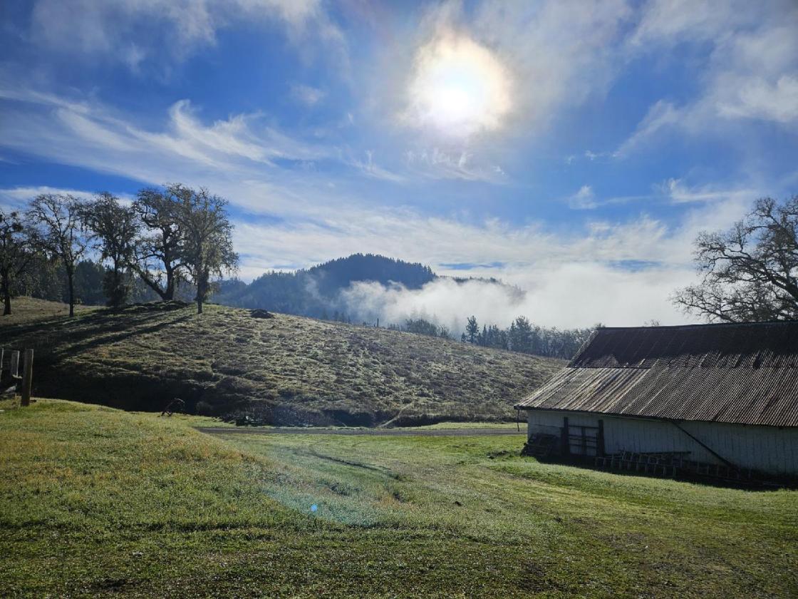 41+/- Acres Willits Valley Ranch - photo 29