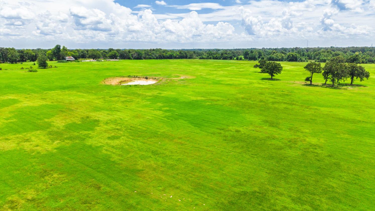 127 ac East Texas Rolling Hills - photo 7