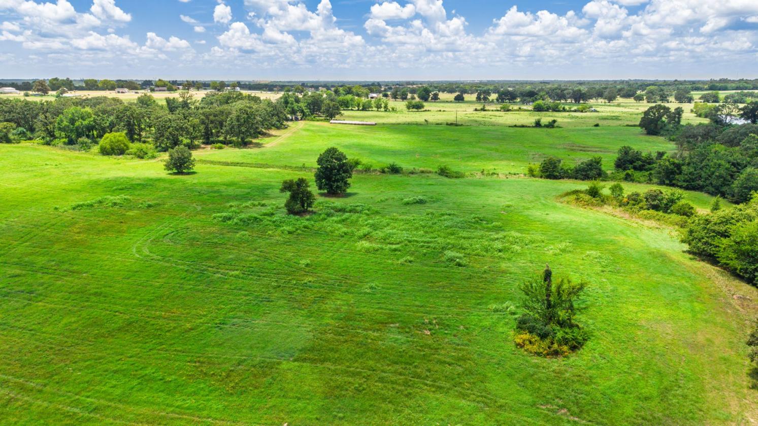 127 ac East Texas Rolling Hills - photo 5