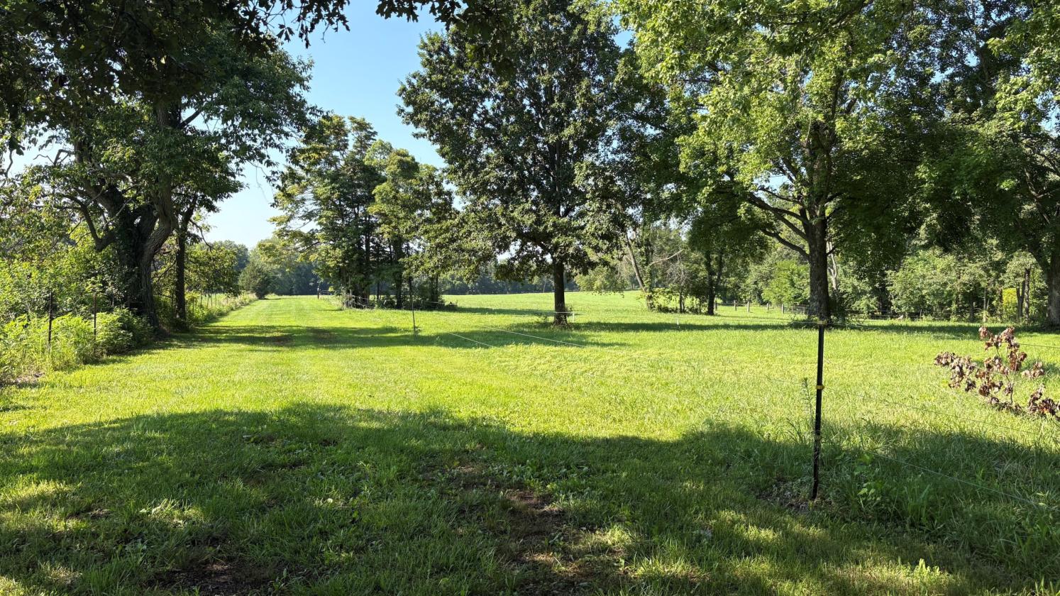 Southern Illinois Horse Farm with home - photo 21