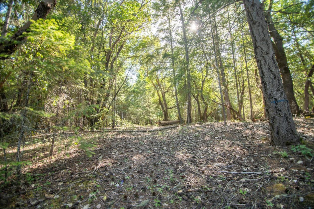 Equestrian Or Vineyard Or Farm With Custom Home! - photo 13