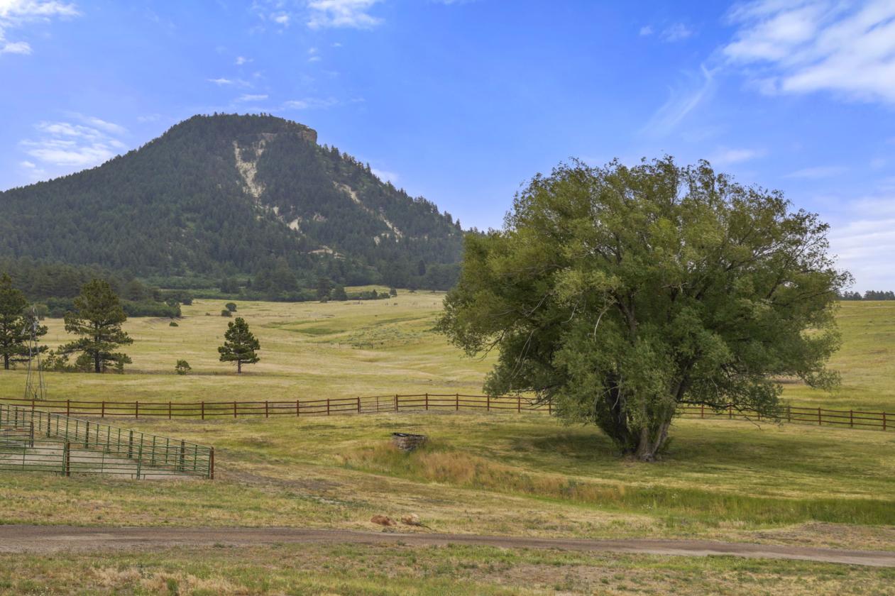 50 Acre Equestrian Estate - photo 23