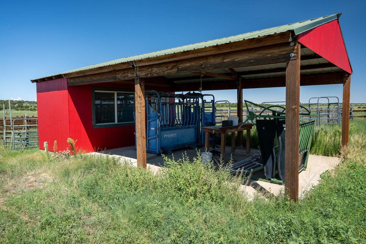 36 Acre Horse Ranch in the Wt. Mtns. of ARIZONA - photo 10