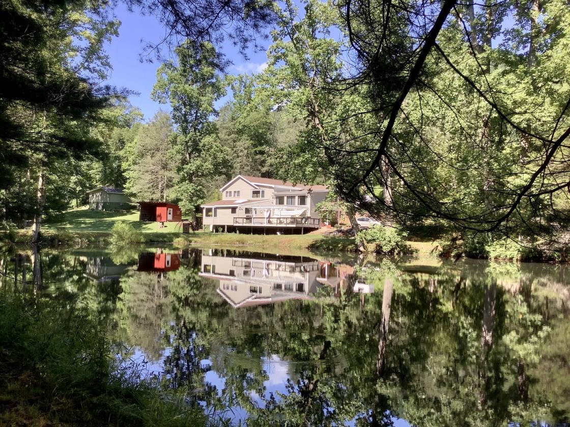Horse Property for sale.