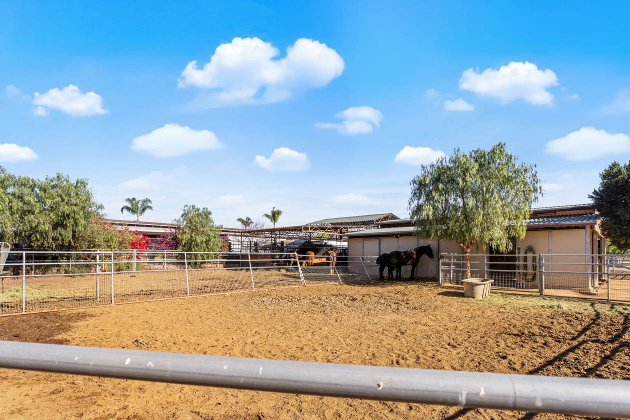 Horse Ranch w/ Arena, Barns, & RV Hookups - photo 19