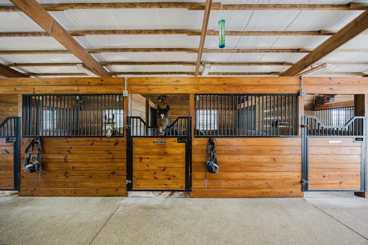 Exceptional equestrian estate on 18+ acres! - photo 18