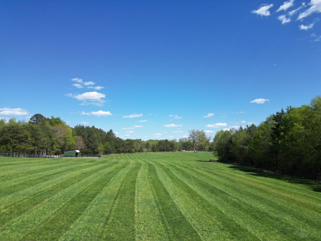 Southside Virginia Horse Farm - photo 13