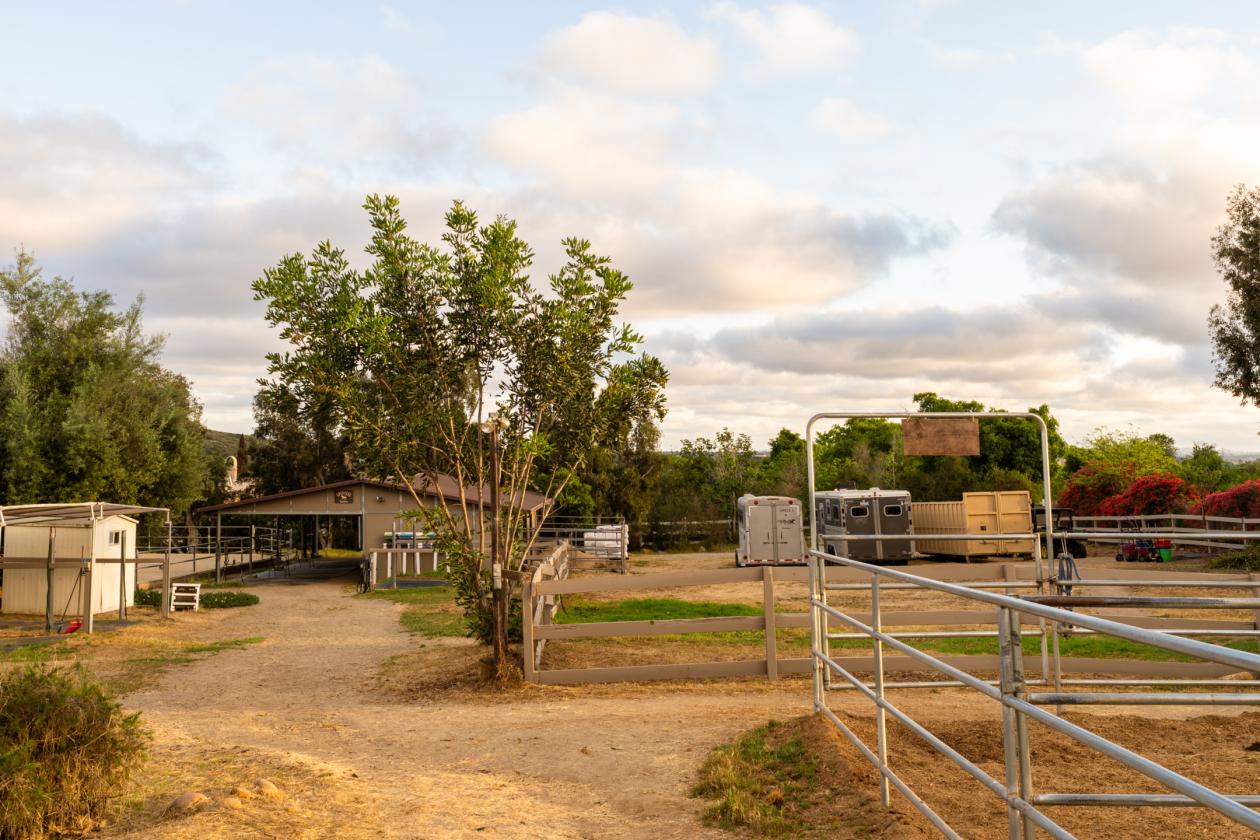 Rancho Santa Fe Lifestyle. County Freedom. No HOA. - photo 25