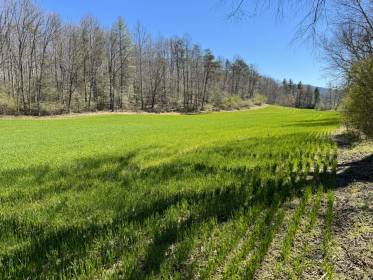 Property image.