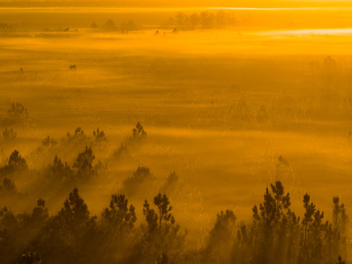 Phillips Ranch | 5,110± Acre World-Cch - photo 17