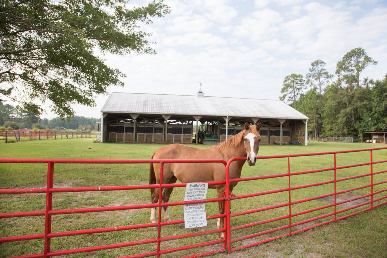 Historic Ardmore Farms private, extremely diverse property 352