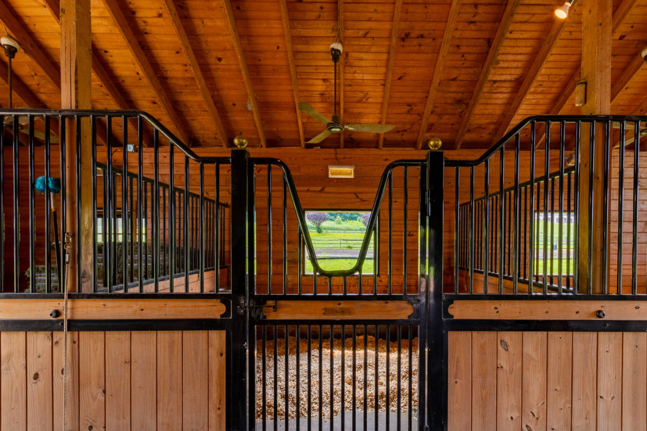 Luxurious horse farm in Chester Springs Chester Springs, Chester
