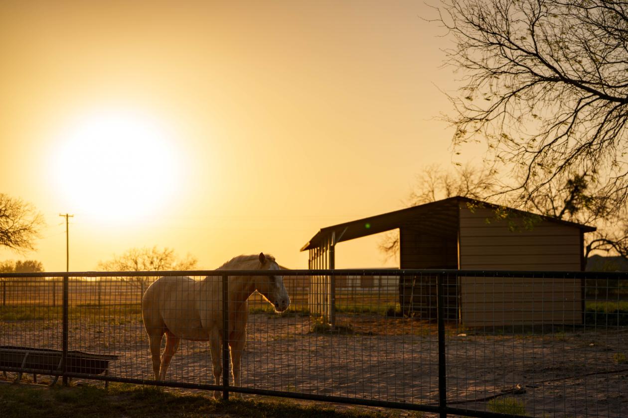 Turnkey 5-Acre Equine Estate - Massive $ Reduction - photo 28