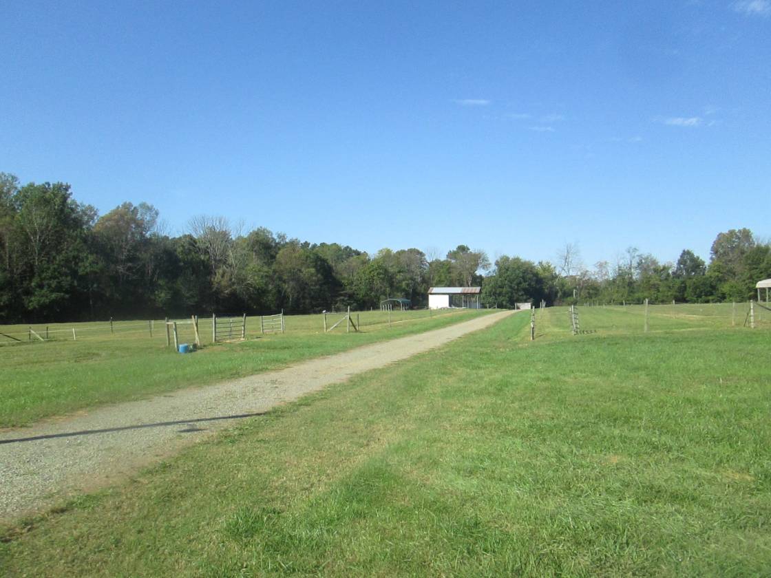 Horse Farm with potential development - photo 15