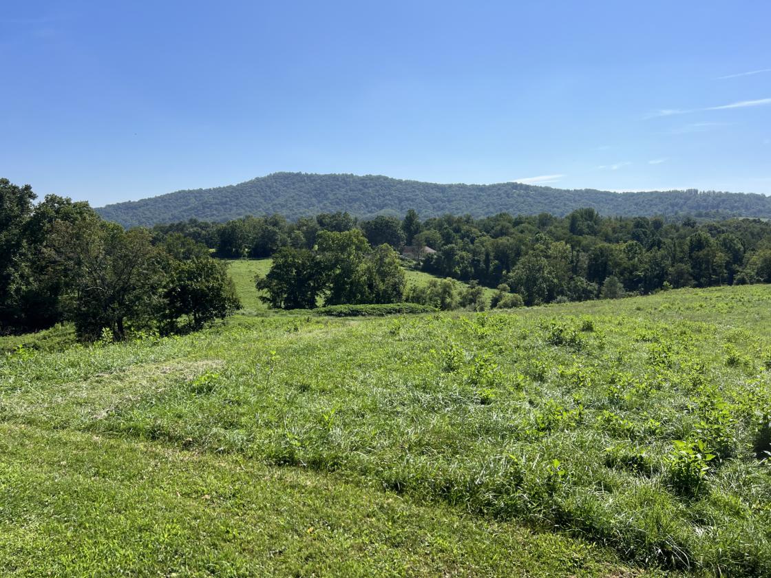Fox Hill - in Virginia's Hunt Country - photo 30