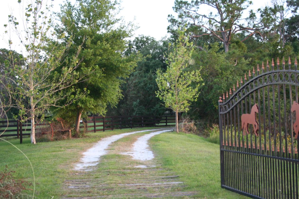 Gorgeous Island lot Estate - 5 stalls, 5 garages - photo 1
