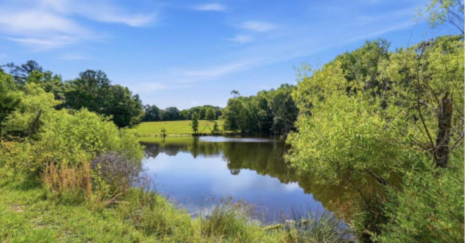 Pristine 189 acre cattle farm - photo 4