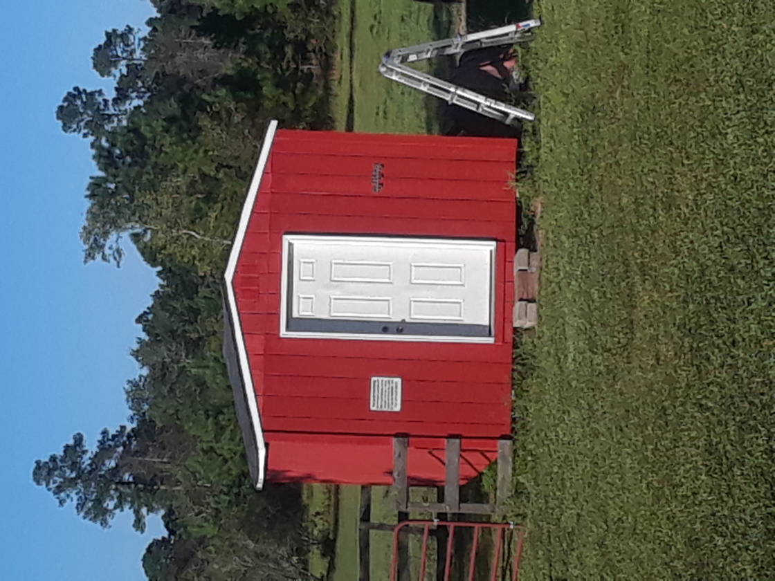 5 acre Mini Farm near Myrtle Beach, SC. Home, barn,... Conway, Horry