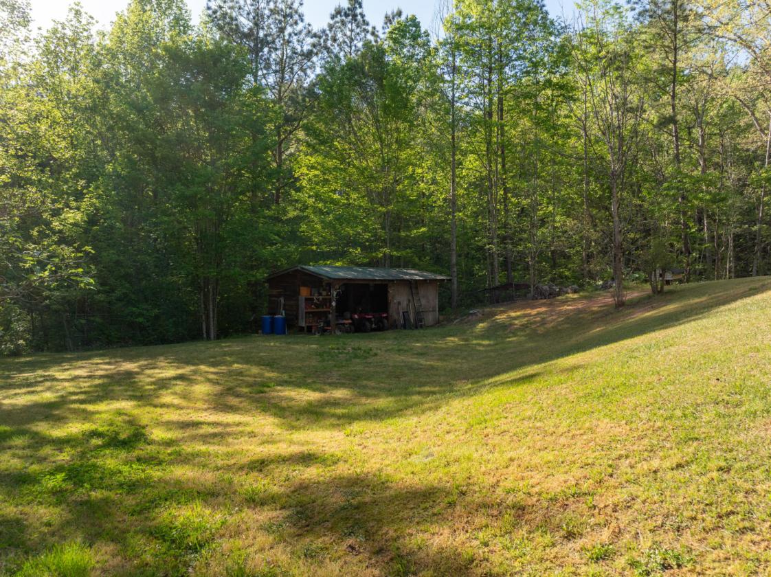169 Acres, pastures, creeks, pond sites and trees - photo 19