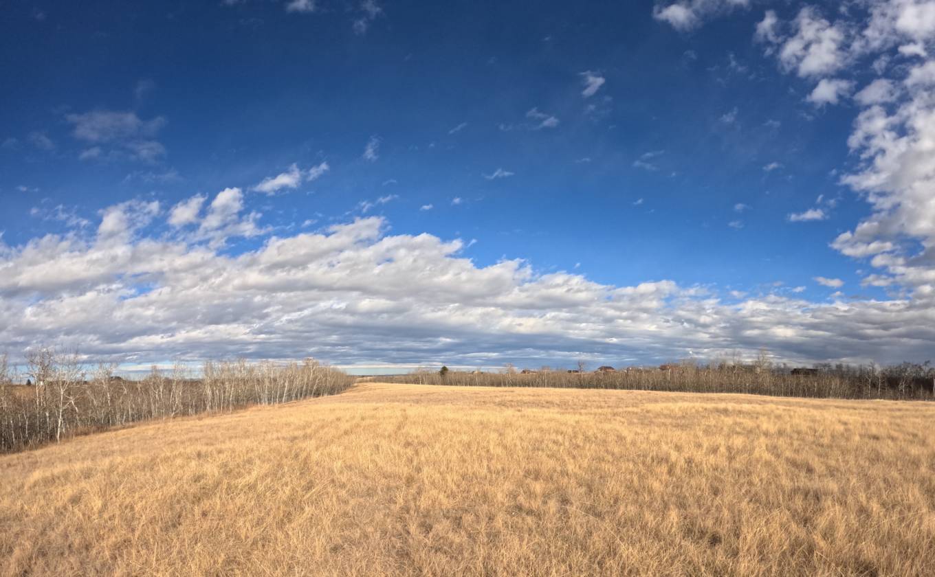 15.268 Acres! Creeks! Trails! Views! Meadows! - photo 26