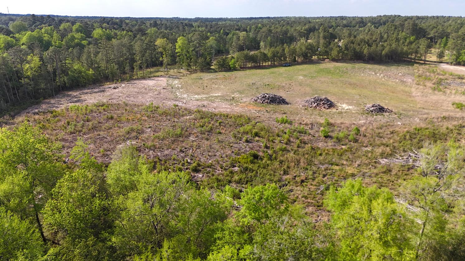13 Acres in Moore County - photo 2