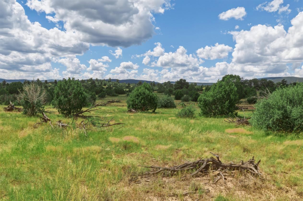 200 Acres in Yavapai County - photo 19