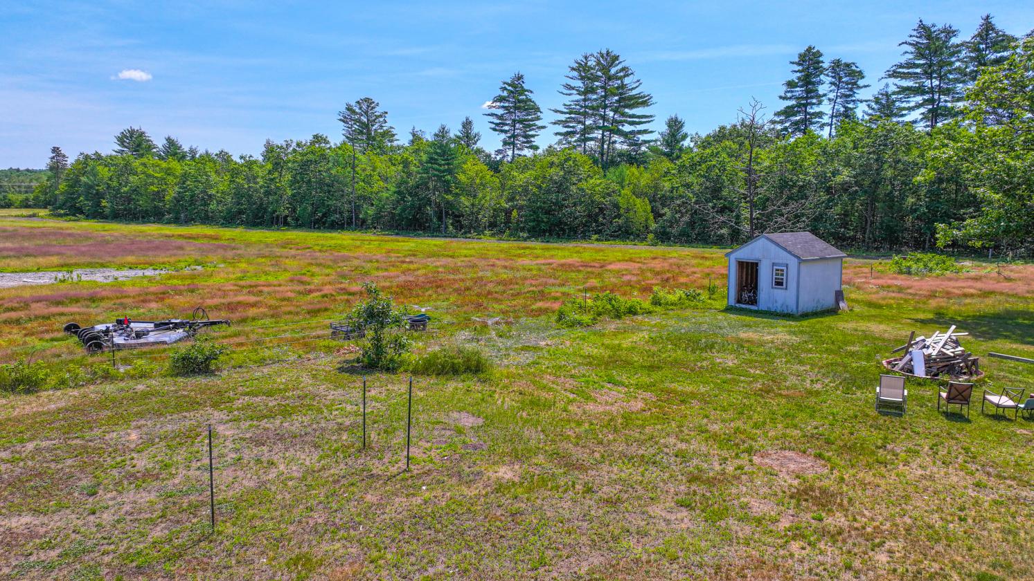 Homesteading Horse Opportunity! - photo 12