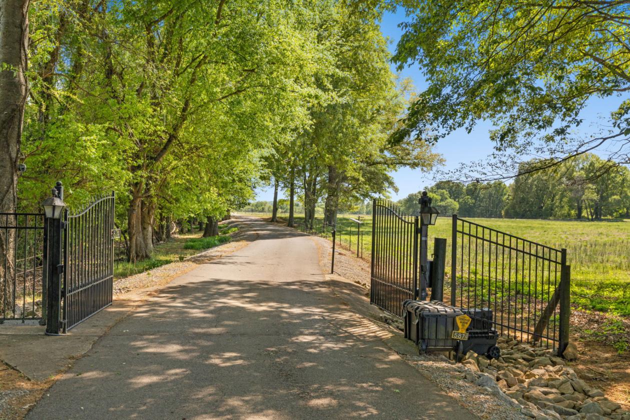 Timeless Southern Estate on 102 acres - photo 2
