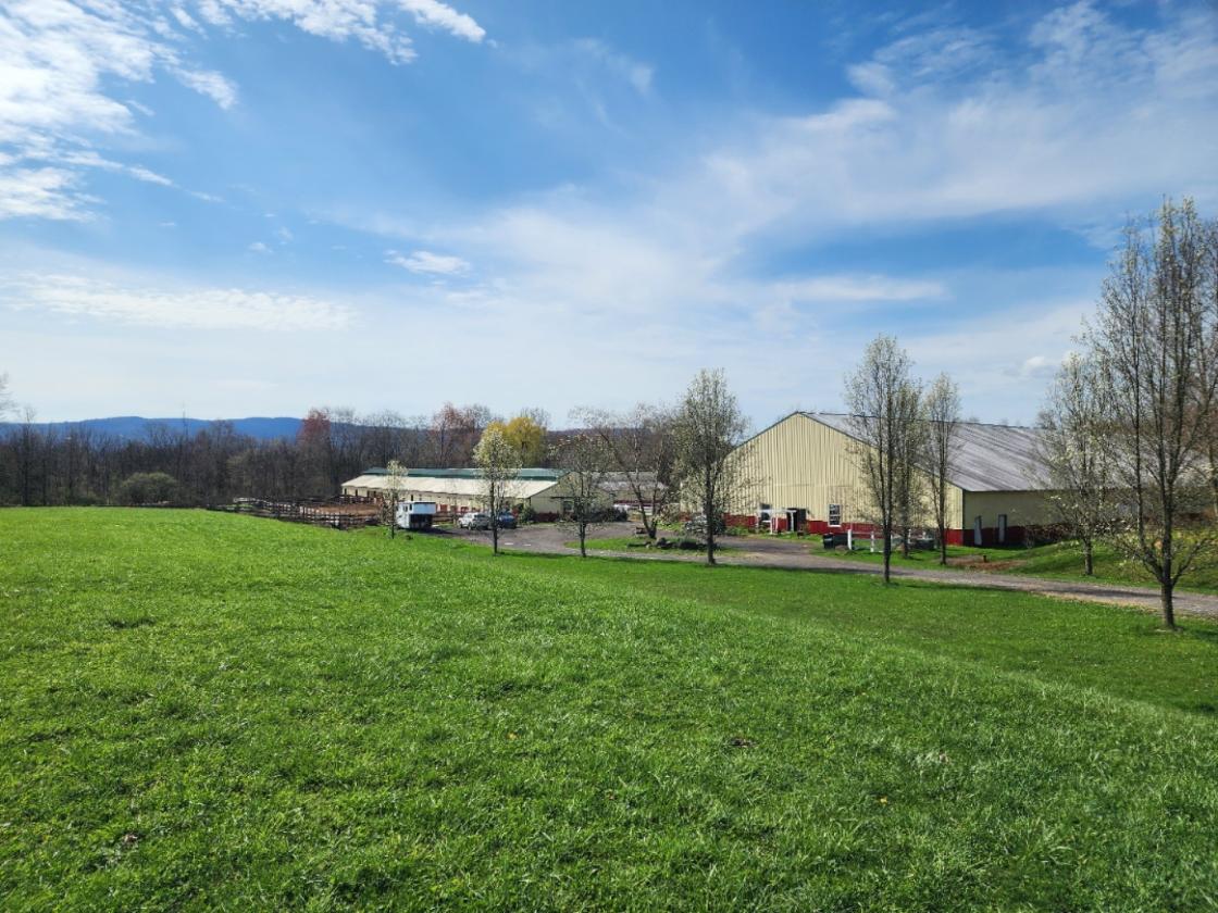 Luxury Equestrian Center/ Estate - photo 1