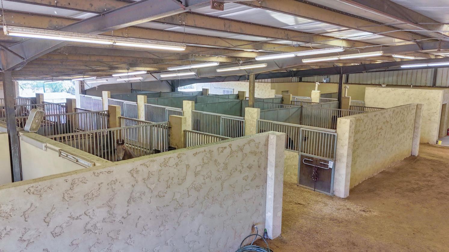 Equine Breeding, Training and Therapy Facility - photo 10