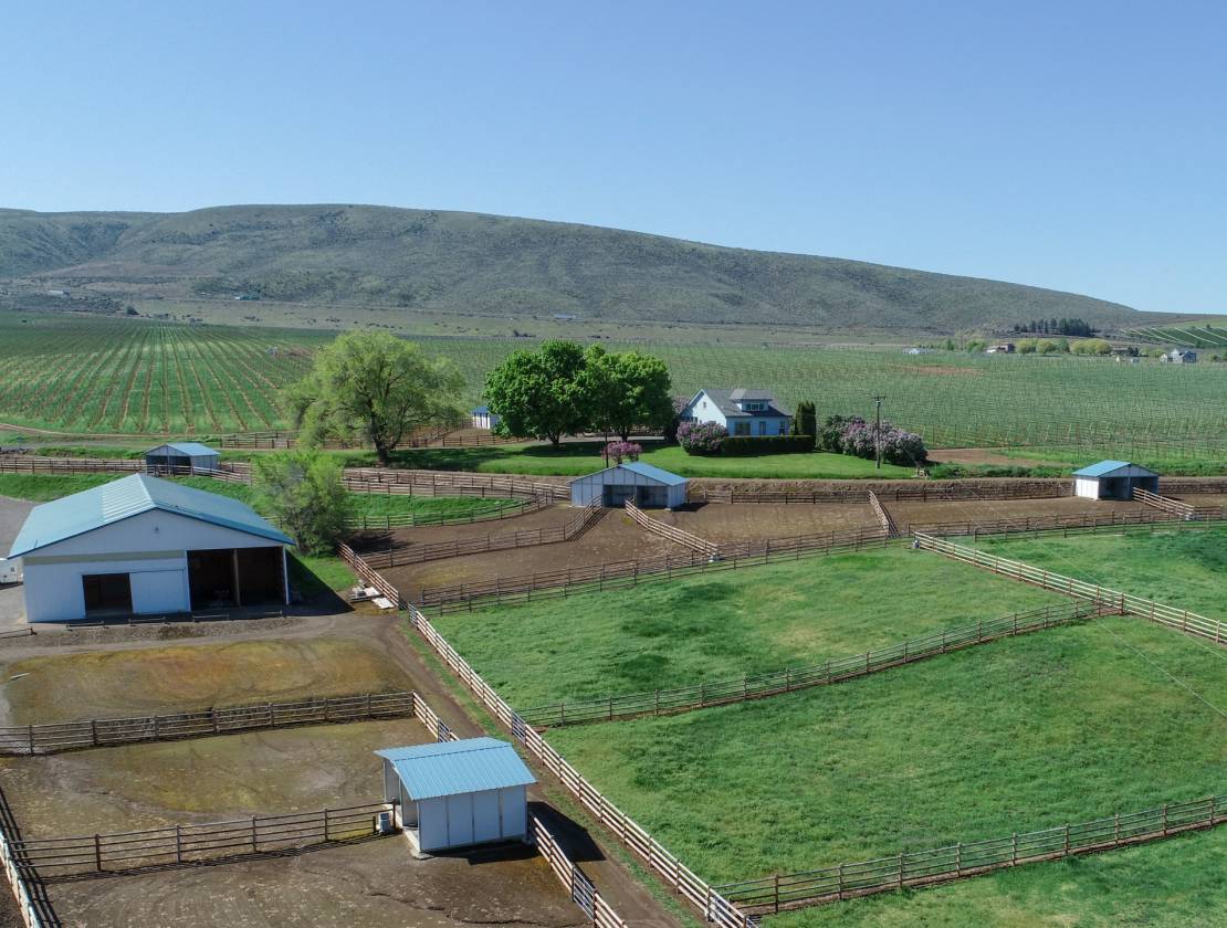 A Sound Investment For Any Horse Person! Ellensburg, Kittitas County, Washington Horse Farm